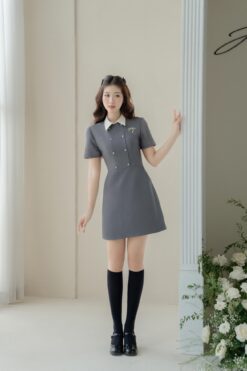 Đầm cổ đức 2 hàng cúc , chân A